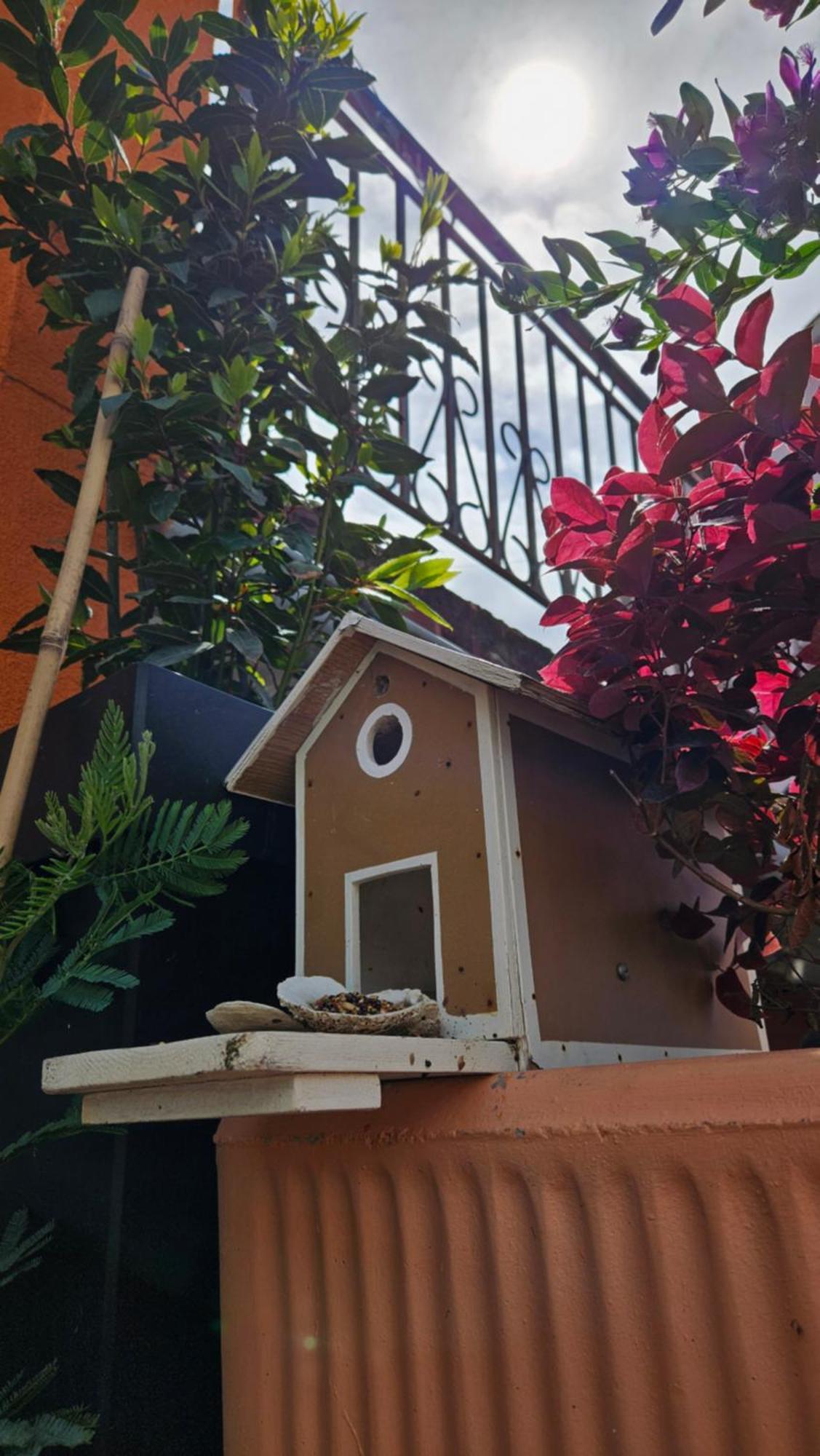 Mexicana Apartment Pink Задар Экстерьер фото